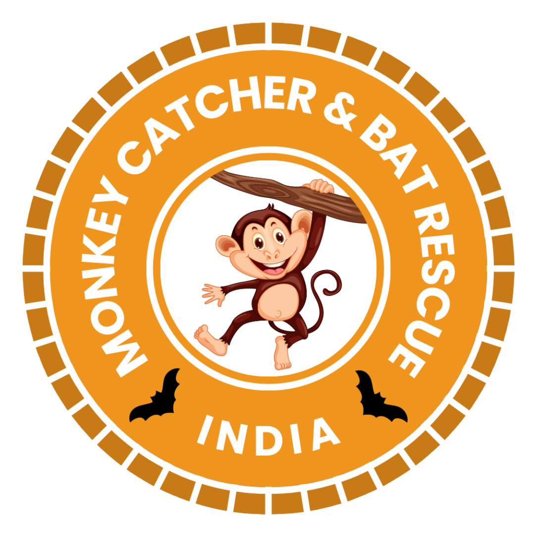 Monkey Catcher & Bat Rescue India